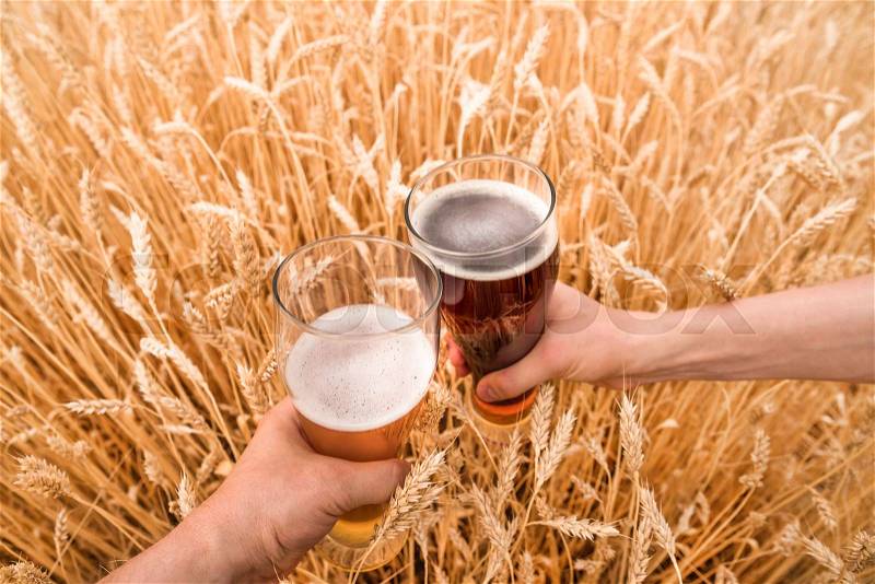 A glass of beer in the hands against ears of ripe wheat and wheat field, stock photo
