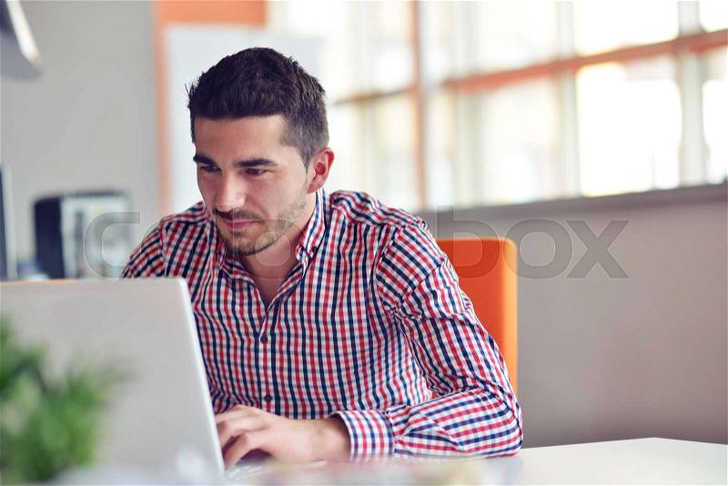 Happy young businessman using laptop at his office desk, stock photo