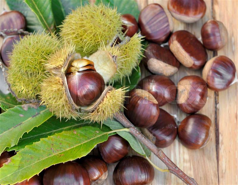 Sweet chestnuts on wooden background , stock photo
