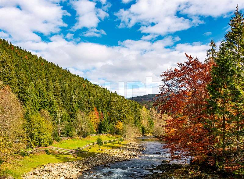 Mountain river on fine autumn day. beautiful Carpathian Countryside, stock photo