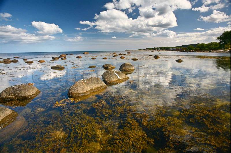 Nature in south Sweden in the province of Skåne, stock photo