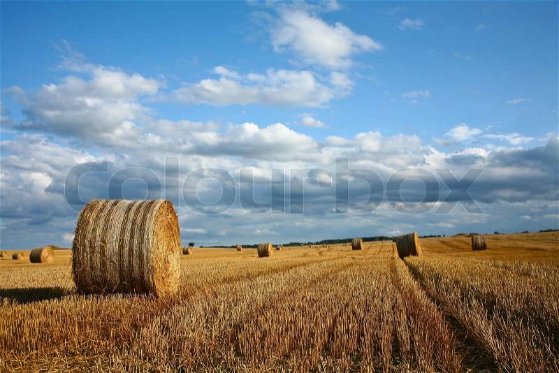 Nature in south Sweden in the province of Skåne, fields after harvest, stock photo