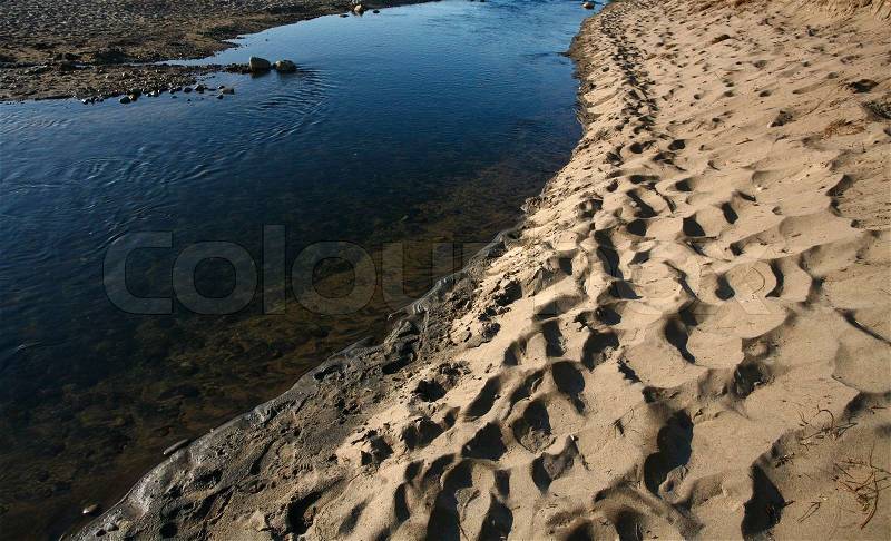 Nature in south Sweden in the province of Skåne, beach, stock photo