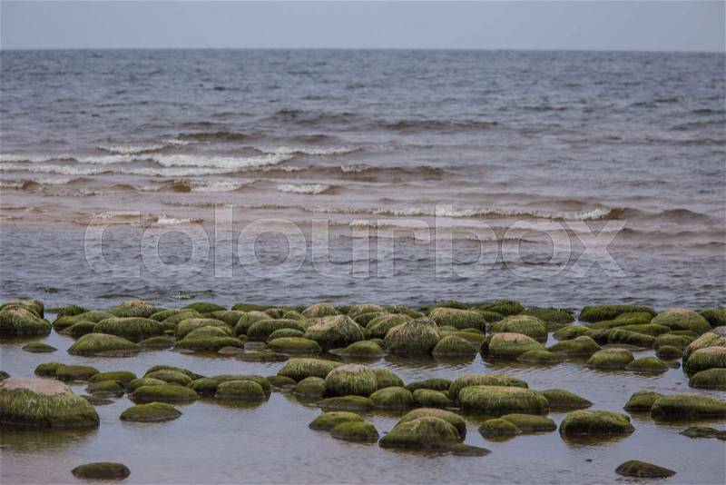 A beautiful landscape of a beach with stones. Baltic sea shore with rocks. An autumn scenery at the sea, stock photo