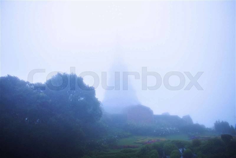 Mist covered in rainy season at the garden, stock photo