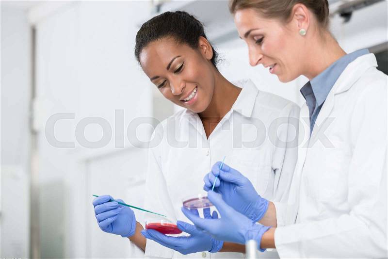 Women in research laboratory talking about tests on germ samples doing eperiment, stock photo