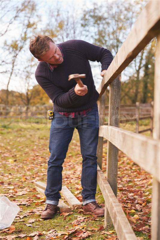 Mature Man Hammering Nail Into Repaired Fence, stock photo