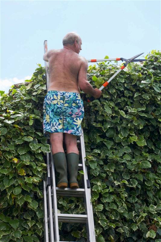 Old man gardening on ladder, stock photo