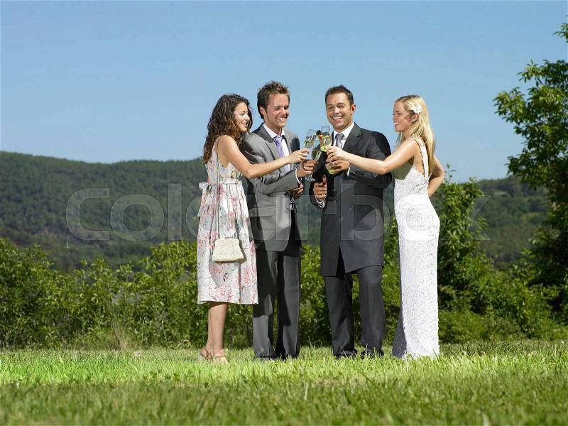 Wedding party toast, stock photo