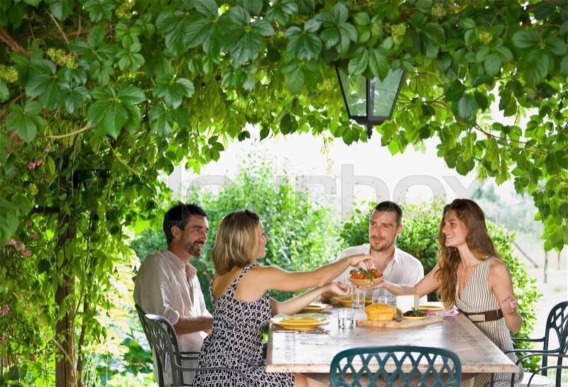 Group enjoying meal in garden, stock photo