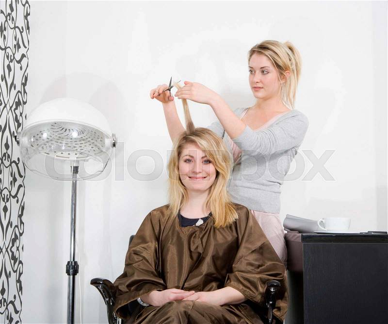 Woman having haircut, stock photo