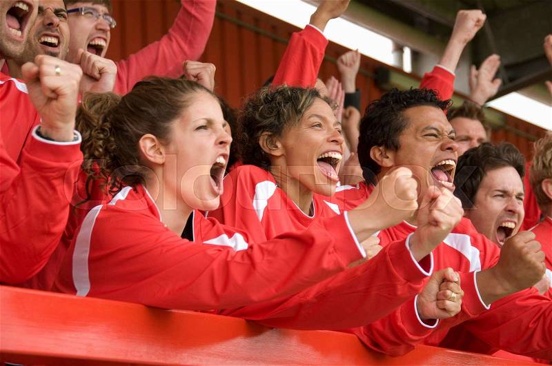 Fans celebrating at football match, stock photo