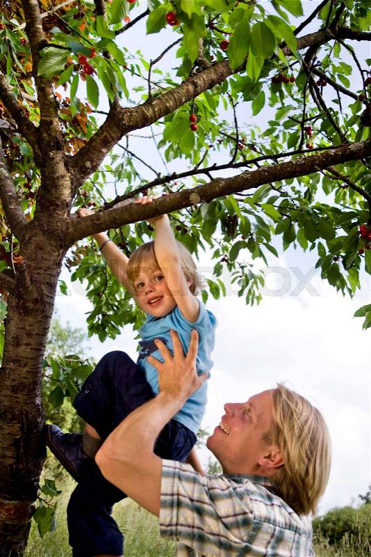 Man helping son to climb tree, stock photo