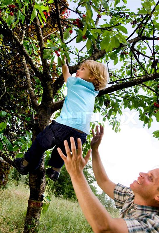 Man helping son to climb tree, stock photo