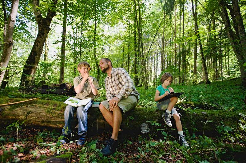 Children and teacher in the wood, stock photo