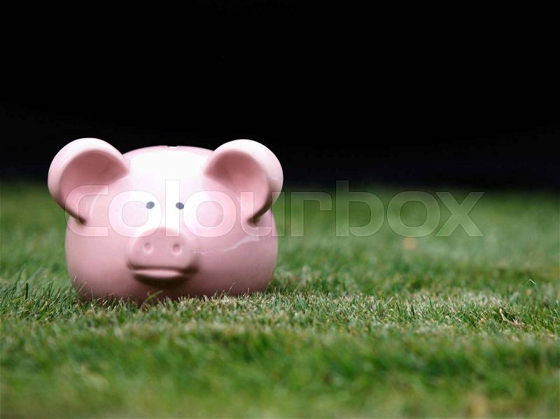 Piggy bank on grass, stock photo
