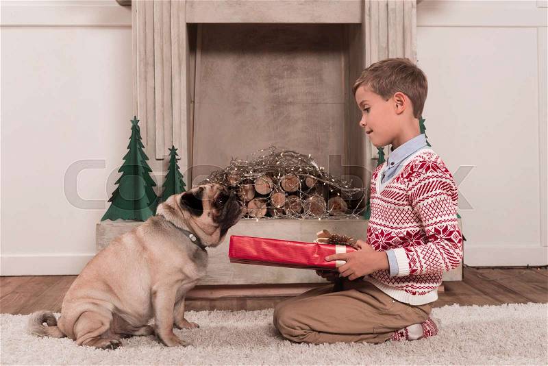 Little boy presenting gift to dog while sitting on floor, stock photo