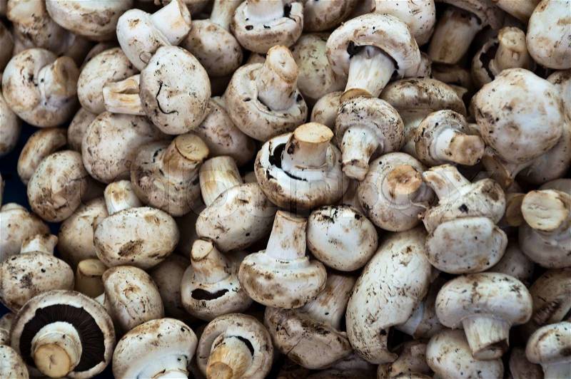 Large collection of White Mushrooms sold at large market in Fethiye, Turkey, stock photo