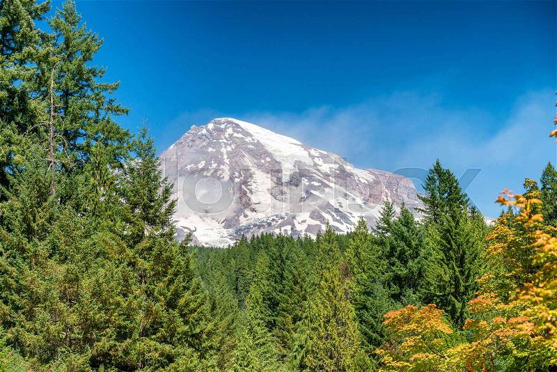 Mount Rainier surrounded by trees, WA, stock photo