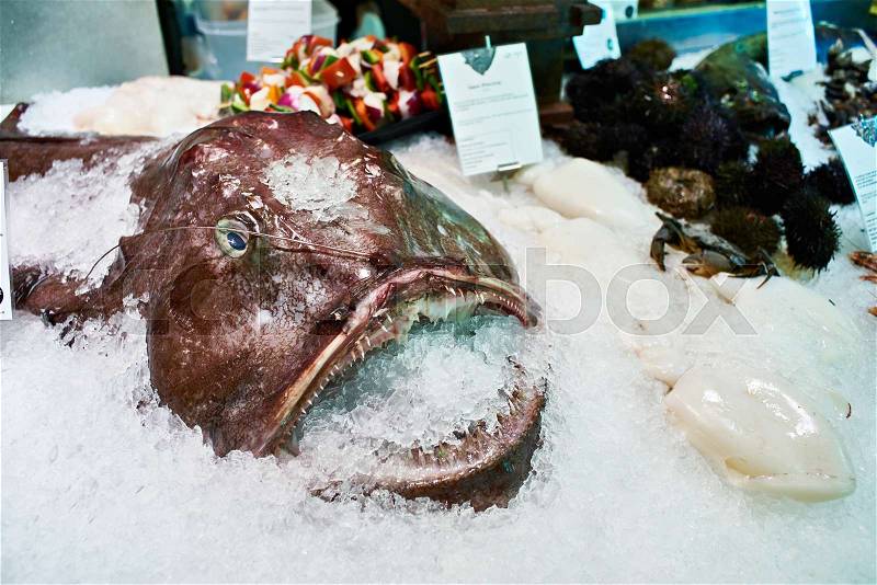 Angler fish or monkfish in ice on store, stock photo