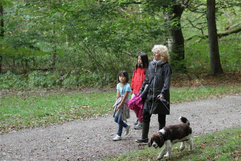 Walking the dog in Frederikslund forest in Holte, stock photo