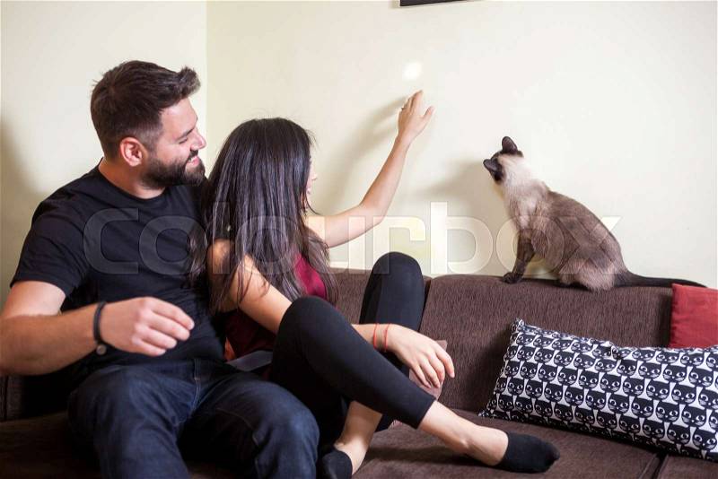 Gorgeous beautiful young couple holding cats in hands. Relax and love. Animal care. Animal lovers, stock photo