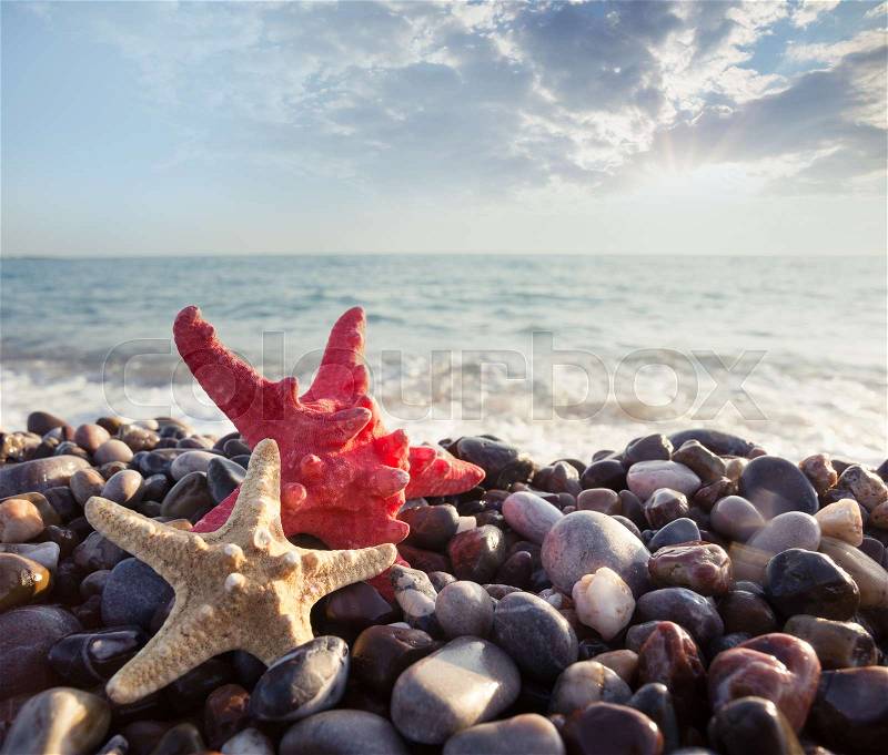 Two sea stars on the shingle of the sea shore. Seascape. The concept of freedom and travel, stock photo