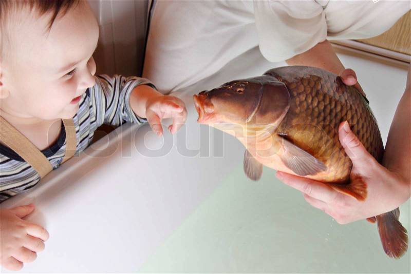 Christmas carp in bath with smile child, stock photo