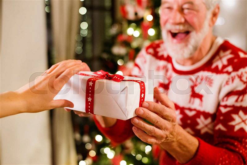 Senior man standing in front of illuminated Christmas tree inside his house holding a present, laughing, stock photo
