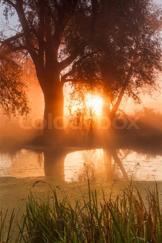 Beautiful misty dawn in the spring on the river, stock photo