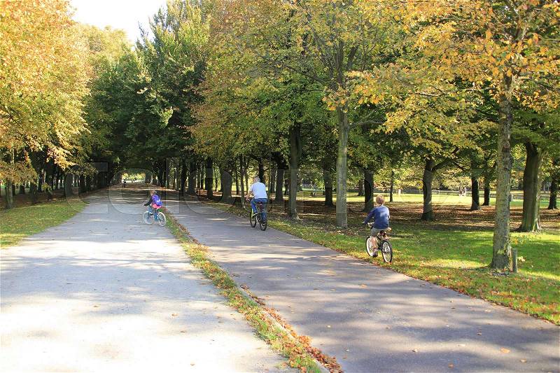 Retired grandpa is biking with the grandchildren, a boy and a girl along an avenue of trees in the park in the city The Hague in the autumn, stock photo