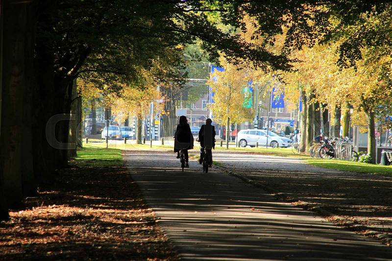 Couple, man and wife are biking along an alley of trees in the park and in the distance the centre of the city The Hague in the autumn, stock photo