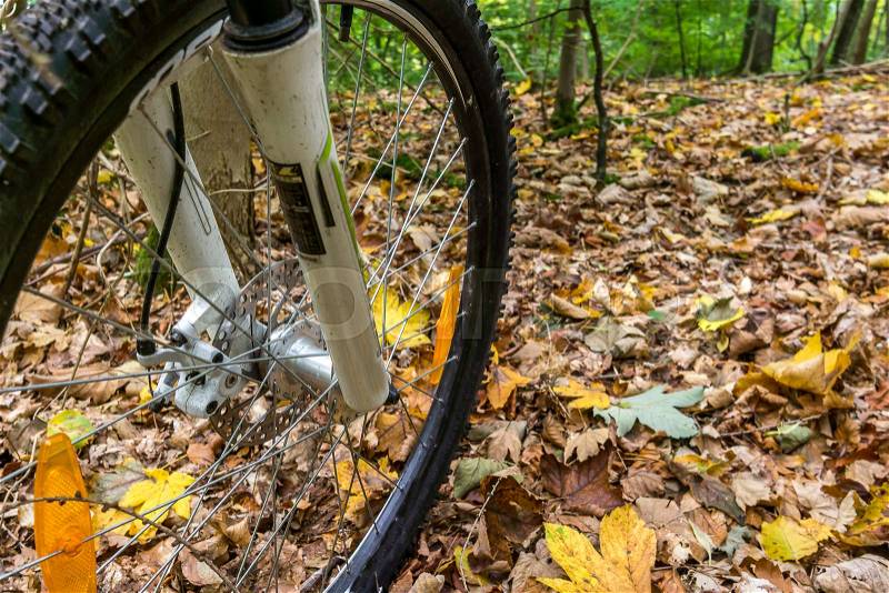 The front wheel of a mountain bike with disc brakes and suspension, rolling over yellow leaves. Denmark, October 16, 2017, stock photo