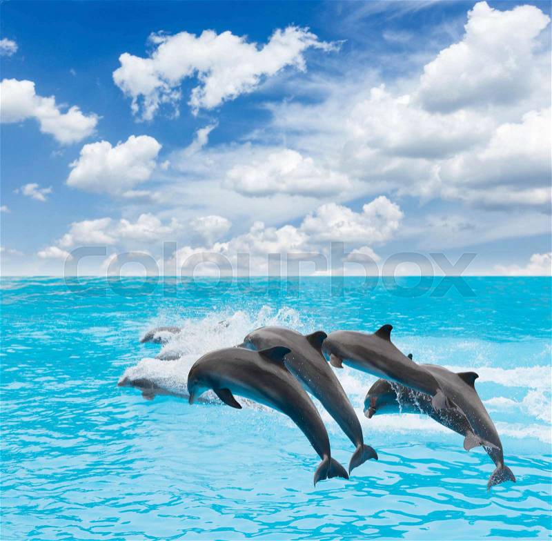 Pack of jumping dolphins, beautiful seascape with deep ocean waters and cloudscape, stock photo