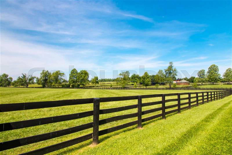 Black wooden fence and green pastures of horse farms, stock photo
