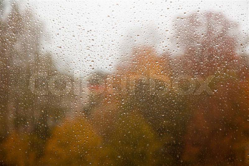 Rain drops on a window with yellow autumn trees behind, stock photo