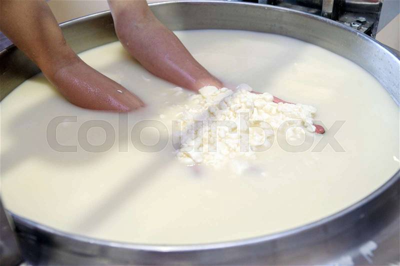 Cauldron with the curdled milk brought to high temperature for the production of cheese in the dairy company, stock photo