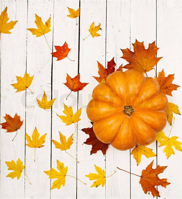 Thanksgiving background: Pumpkins and fallen leaves on white wooden background. Halloween or Thanksgiving day or seasonal autumnal. Flat lay. Top view, stock photo