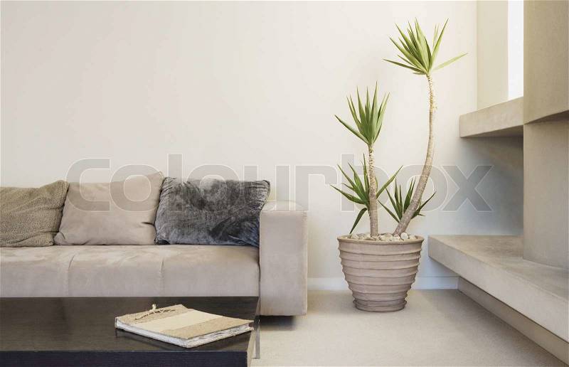 Modern living room with potted plant can be used as background, stock photo