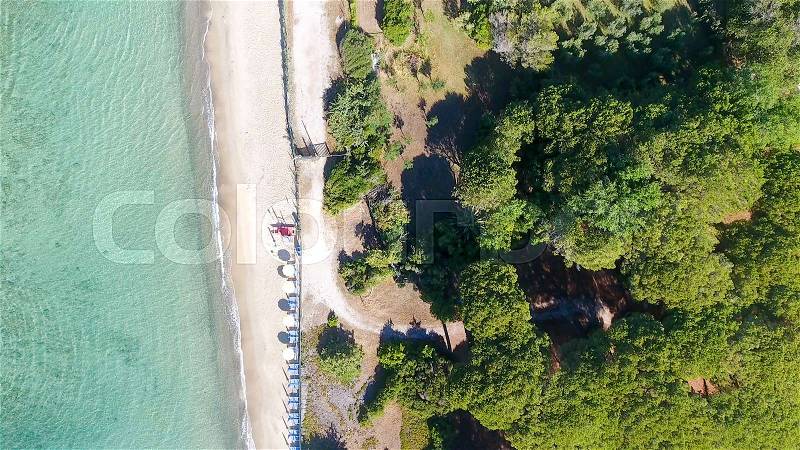 Overhead view of pinewood in front of the ocean, stock photo