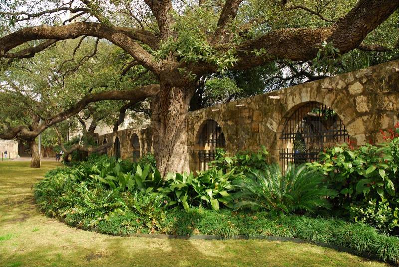 In the garden of Alamo, San Antonio, Texas, stock photo