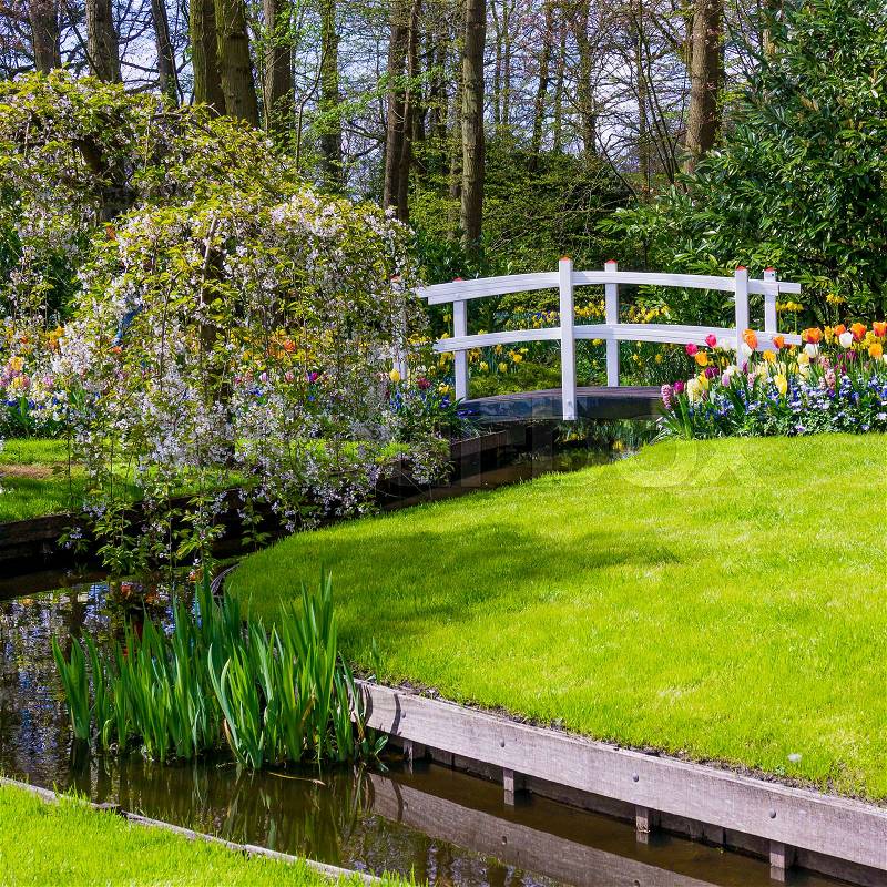 Garden landscape. modern garden design. Landscaped Yard and Garden, stock photo