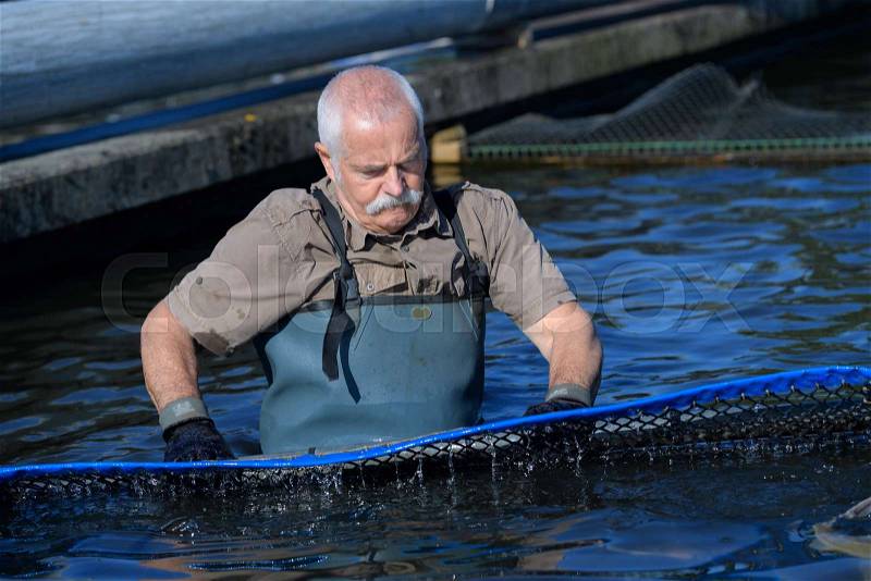 Old man taking care of his fish farm, stock photo