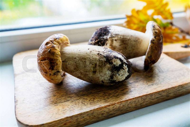 Cooking mushrooms, stock photo