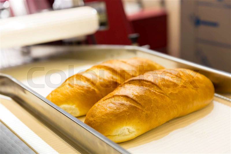 Professional bakery equipment, bread conveyor machine. Food preparing, technology line, stock photo