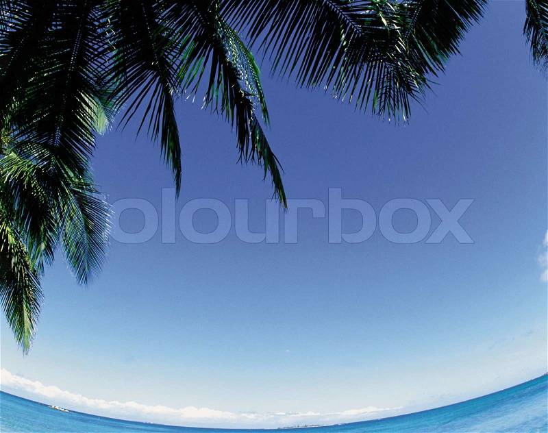 Beautiful Tropical island can be used as background, stock photo