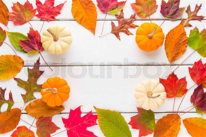 Autumn frame composition of colorful leaves and pumpkins. Top view, stock photo
