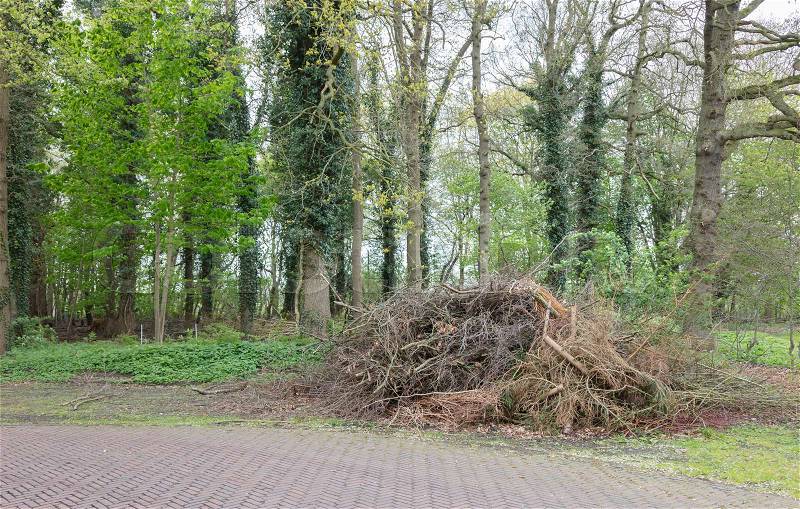 Maintenance in a park in the Netherlands, stock photo