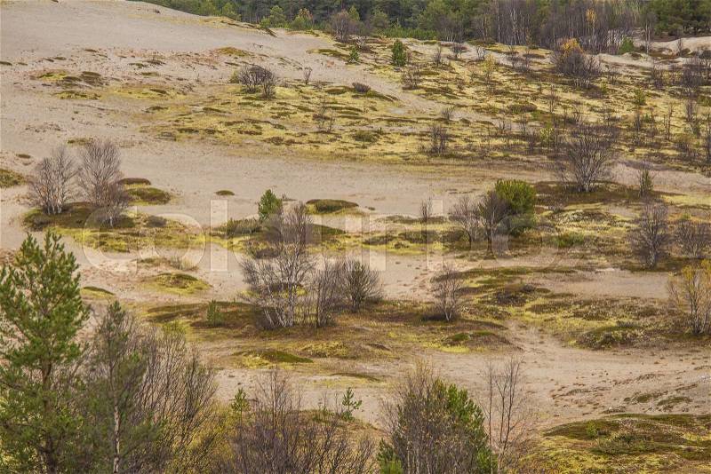 A beautiful sand dune in the middle of Norway. Northern desert in central Scandinavia in autumn. Colorful scenery that looks like a barren land, stock photo