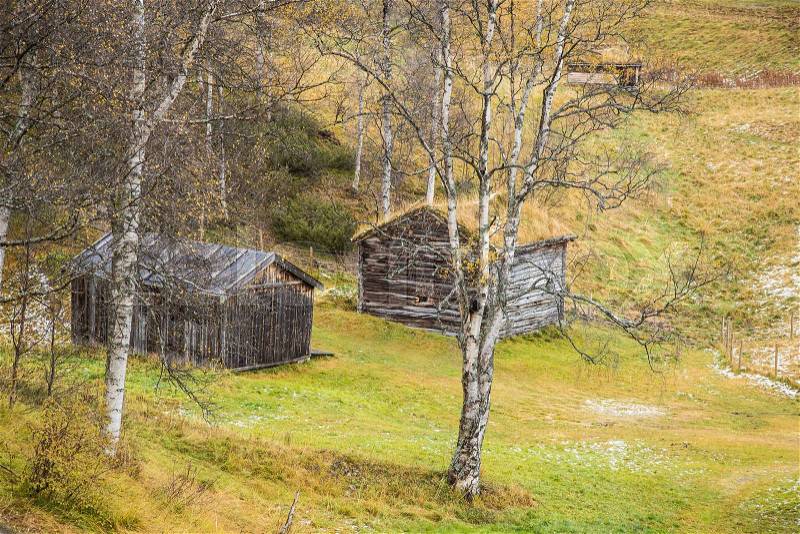 A beautiful wooden house in the forest with a grass and moss growing on a roof. Natural roof, traditional building in Norway. Beautiful autumn scenery, stock photo